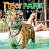 タイガーパーク【TIGER PARK PATTAYA】
