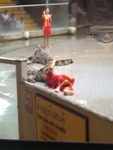 Sriracha Tiger Zoo３